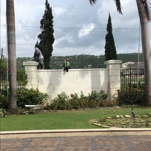 Meet your Posher, Dwight